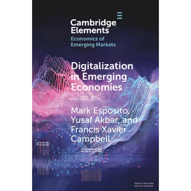 Digitalization in Emerging Economies