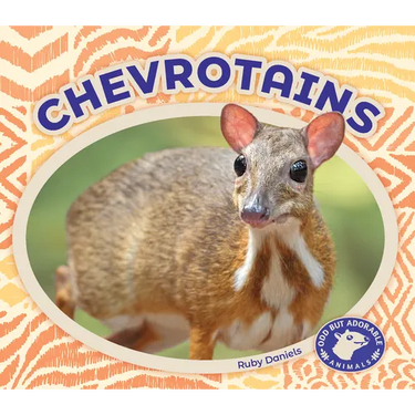 Chevrotains