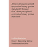 Lesbian Feminism: Essays Opposing Global Heteropatriarchies