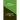 Memoirs of Napoleon Bonaparte (Volume 01)