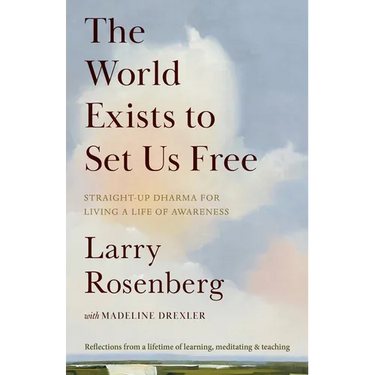 The World Exists to Set Us Free: Straight-Up Dharma for Living a Life of Awareness