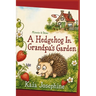 A Hedgehog In Grandpa's Garden