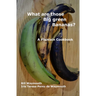 What are those big green bananas?: A Plantain Cookbook