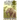 An Elephant in My Front Yard: And Other Observations