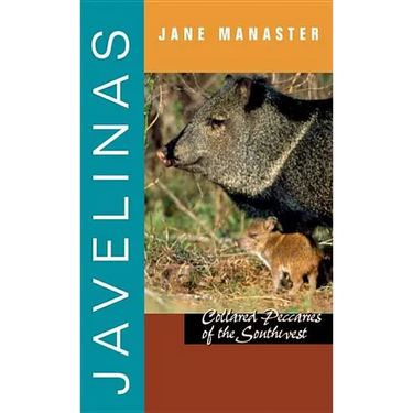 Javelinas: Collared Peccaries of the Southwest