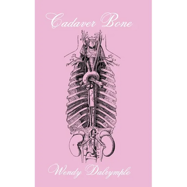 Cadaver Bone