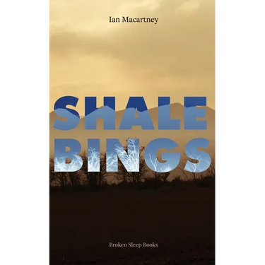 Shale Bings
