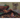 A Log's Life