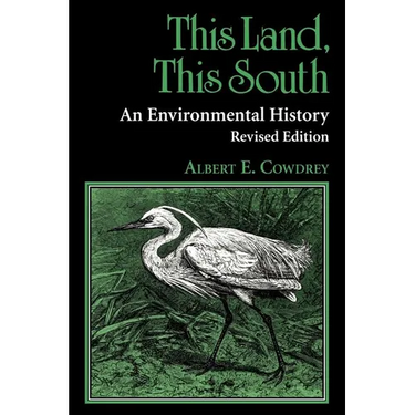 This Land, This South