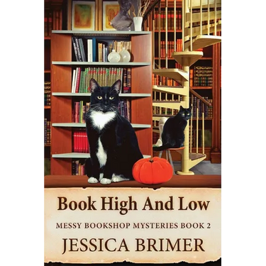 Book High And Low