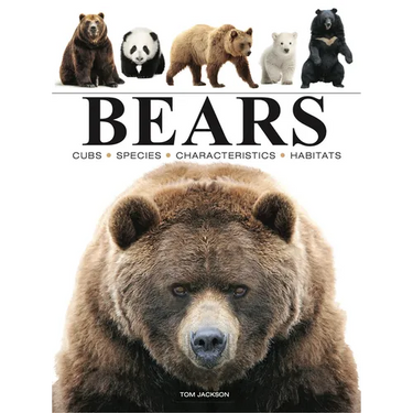 Bears