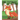 The Cunning Fox