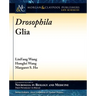 Drosophila Glia