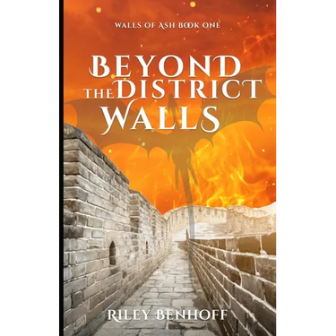 Beyond the District Walls