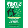 What's in a Word: Fascinating Stories of More Than 350 Everyday Words and Phrases