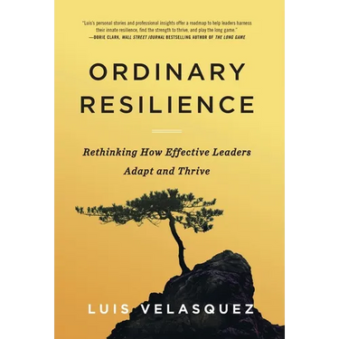 Ordinary Resilience: Rethinking How Effective Leaders Adapt and Thrive