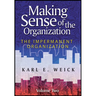 Making Sense of the Organization, Volume 2