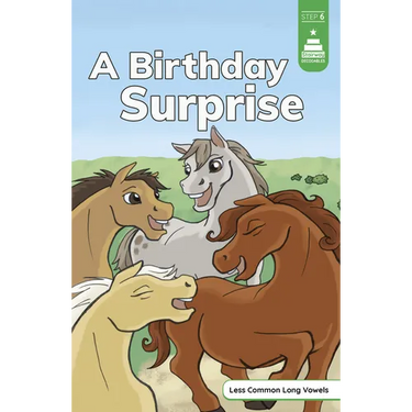 A Birthday Surprise