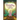 Wingaling - The Wingless Little Angel