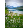 Daily Beside The Still Waters: Devotions From Psalms