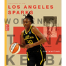 The Story of the Los Angeles Sparks: The Wnba: A History of Women's Hoops: Los Angeles Sparks