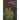 The Ancient Encyclopedia of Mystery