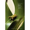 Second Nature: Origins and Originality in Art, Science, and New Media