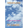 Dreamland: a novel of new orleans