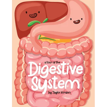 A Tour Of The Digestive System
