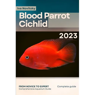Blood Parrot Cichlid: From Novice to Expert. Comprehensive Aquarium Fish Guide