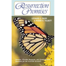 Resurrection Promises: Sermons, Worship Resources, and Group Discussion Questions for the Easter Season