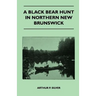 A Black Bear Hunt In Northern New Brunswick