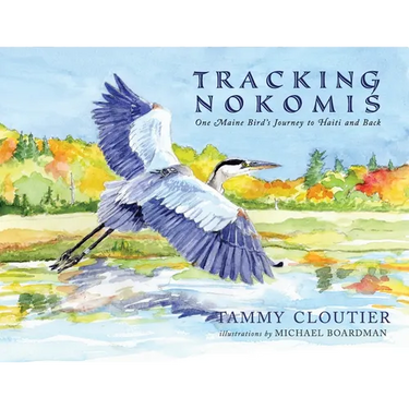 Tracking Nokomis