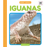 Iguanas