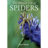 The Private Life of Spiders