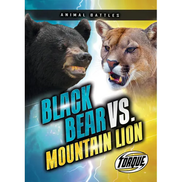 Black Bear vs. Mountain Lion