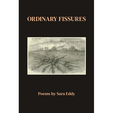 Ordinary Fissures