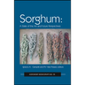 Sorghum: State of the Art and Future Perspectives
