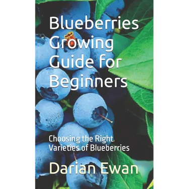 Blueberries Growing Guide for Beginners: Choosing the Right Varieties of Blueberries