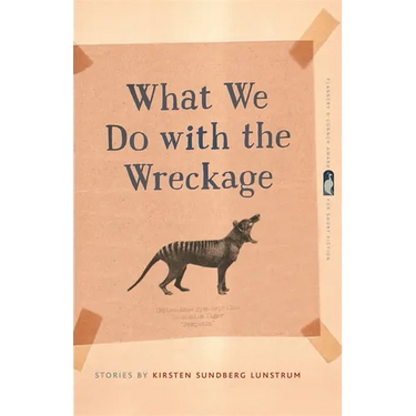 What We Do with the Wreckage: Stories