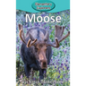 Moose