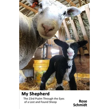 My Shepherd: The 23rd Psalm Through the Eyes of a Lost-&-Found Sheep