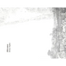 Rhizomes