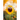 Choose Happy; Find Contentment in Any Situation: Volume 1