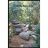 Off The Beaten Path: 4 year Blood Glucose Tracker