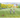 Garden Beyond the Meadow
