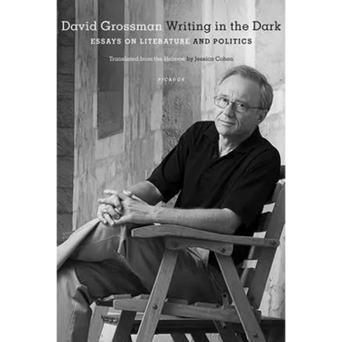 Writing in the Dark: Essays on Literature and Politics