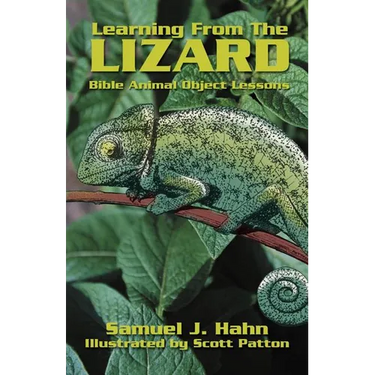 Learning from the Lizard