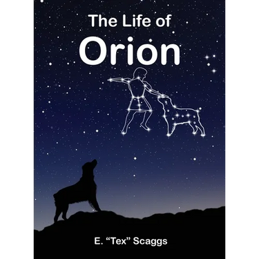 The Life of Orion