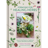 Foraging for Healing Herbs: How to Find Plants for Charms, Remedies and Rituals